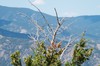 2019-08-12 to 2019-08-17 Colorado 067